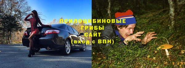 гидра Абдулино